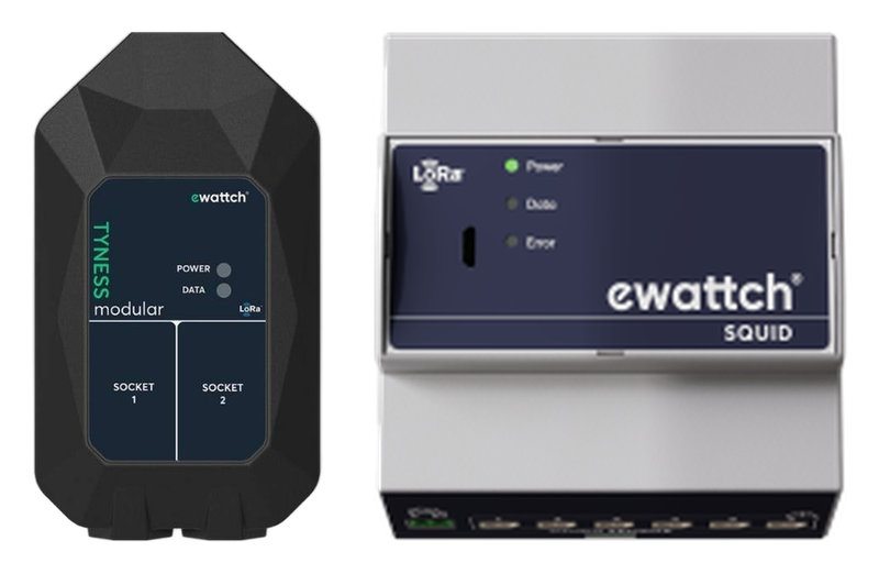 Ewattch TyNess / Squid